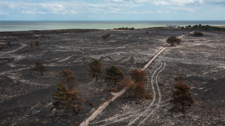 Fire damage at Dunwich Heath in August 2026